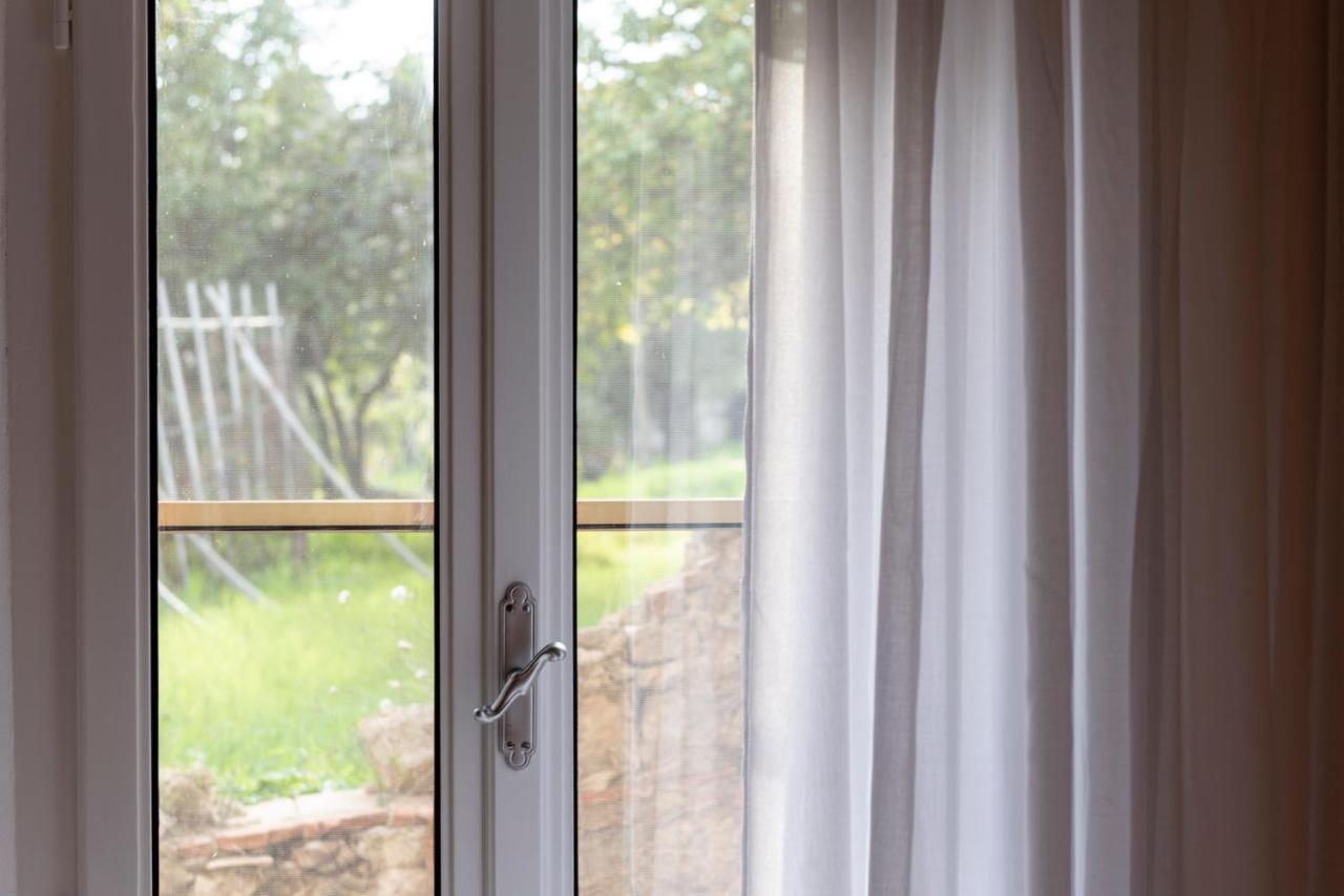 Terra D'Ombra Bed&Breakfast San Gimignano Bagian luar foto